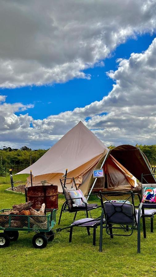 Coonawarra Bush Holiday Park Exteriér fotografie