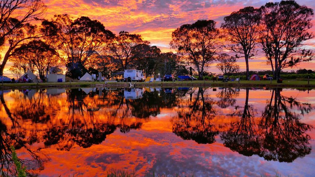 Coonawarra Bush Holiday Park Exteriér fotografie