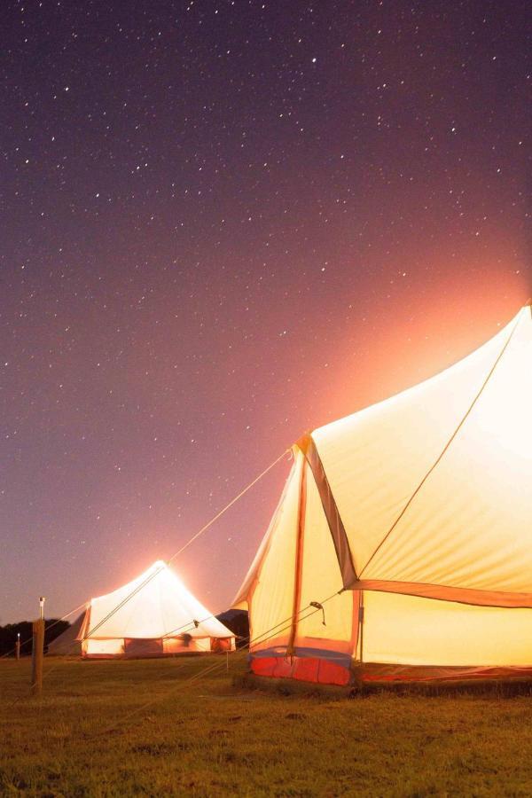 Coonawarra Bush Holiday Park Exteriér fotografie